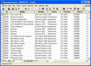 Exported data in Microsoft Access