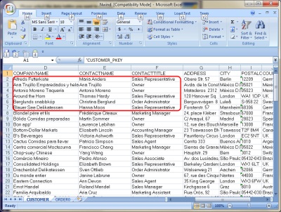 Previewing the XML data converted to Excel
       using Exult XML Conversion Wizard