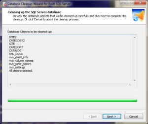 Showing the Cleanup progress during Database Cleanup
       operation of Exult SQL Server.