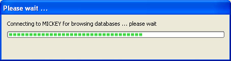 Connecting to SQL Server for browsing databases